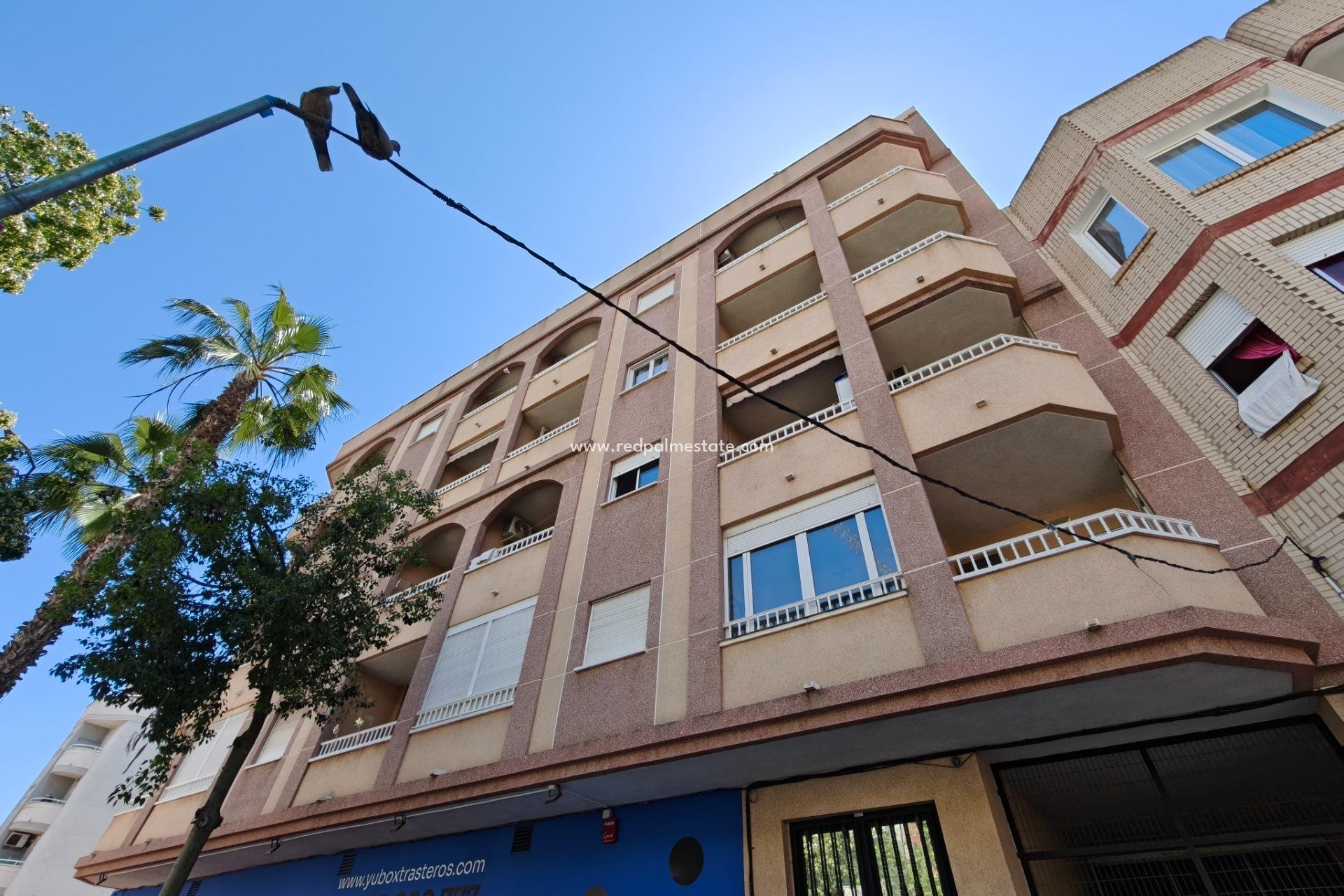 Resale - Apartments -
Torrevieja - Centro Torrevieja