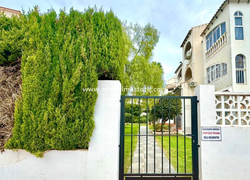 Resale - Apartments -
Torrevieja - Centro Torrevieja