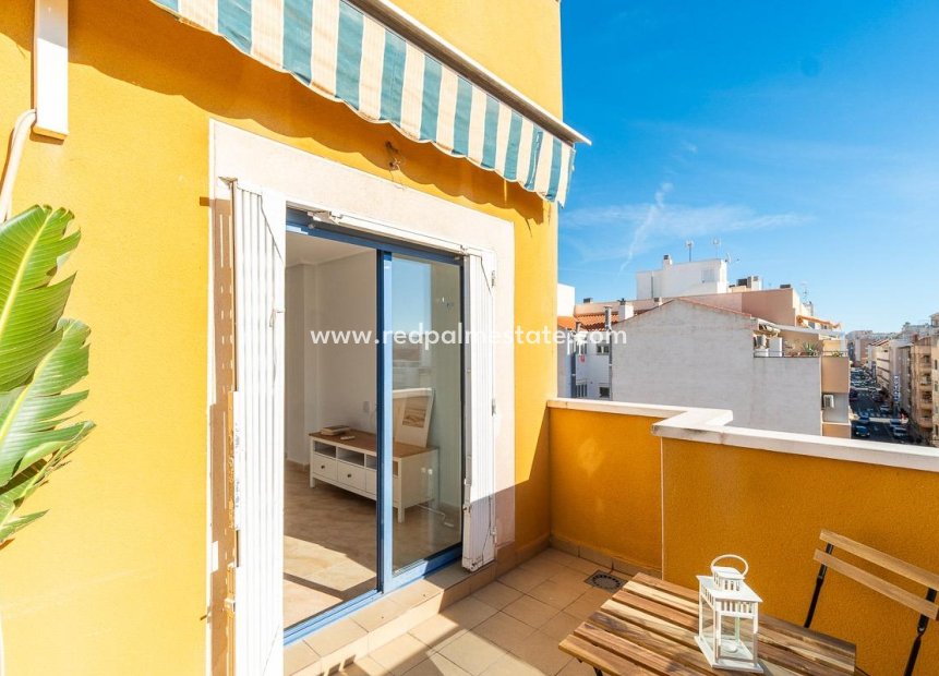 Resale - Apartments -
Torrevieja - Centro Torrevieja