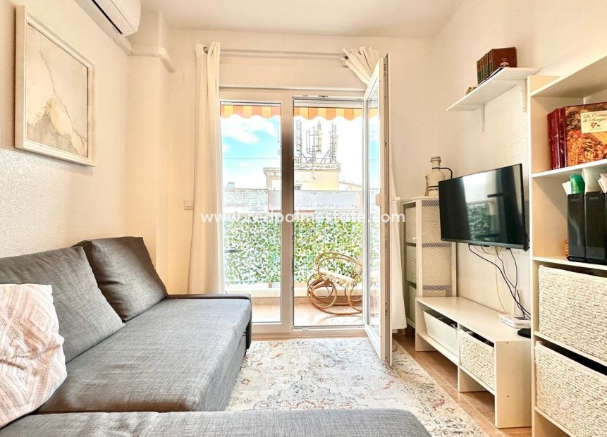 Resale - Apartments -
Torrevieja - Centro Torrevieja