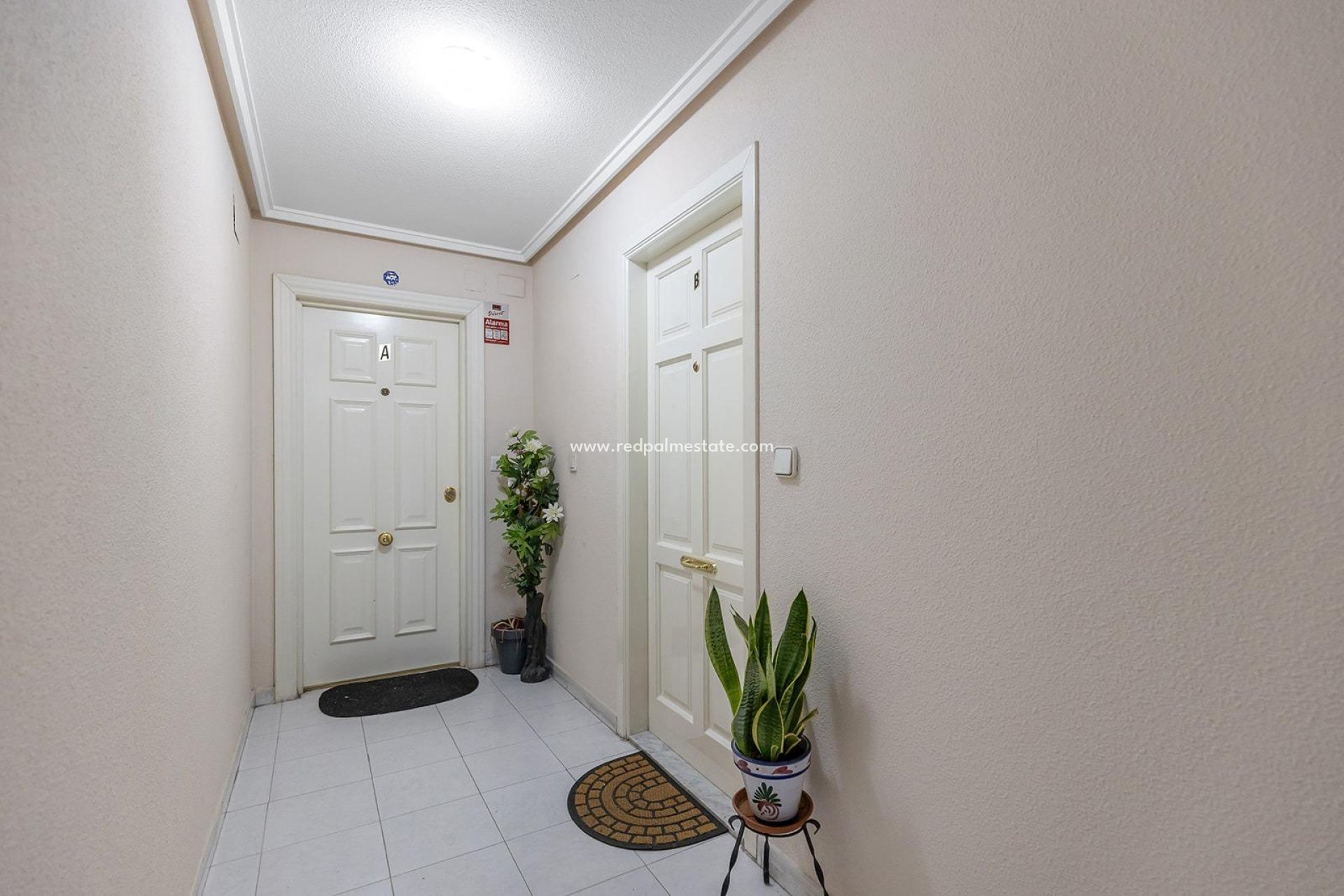 Resale - Apartments -
Torrevieja - Centro Torrevieja