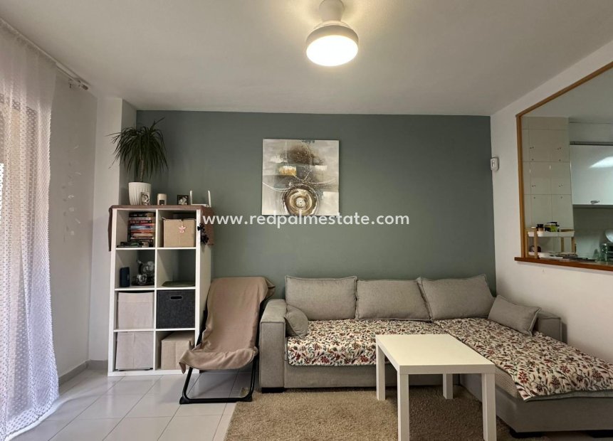 Resale - Apartments -
Torrevieja - Centro Torrevieja
