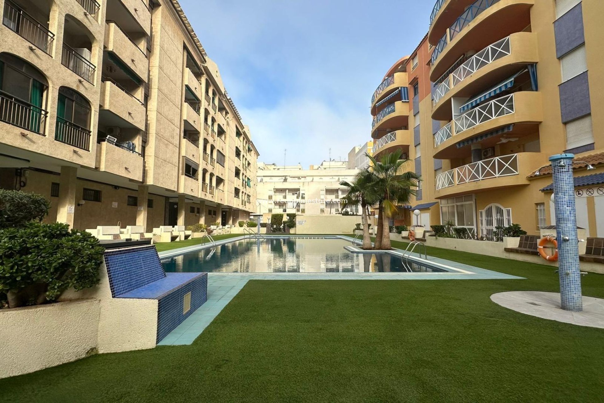 Resale - Apartments -
Torrevieja - Centro Torrevieja