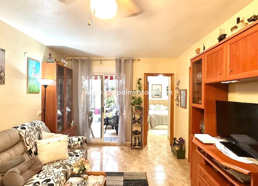 Resale - Apartments -
Torrevieja - Centro Torrevieja