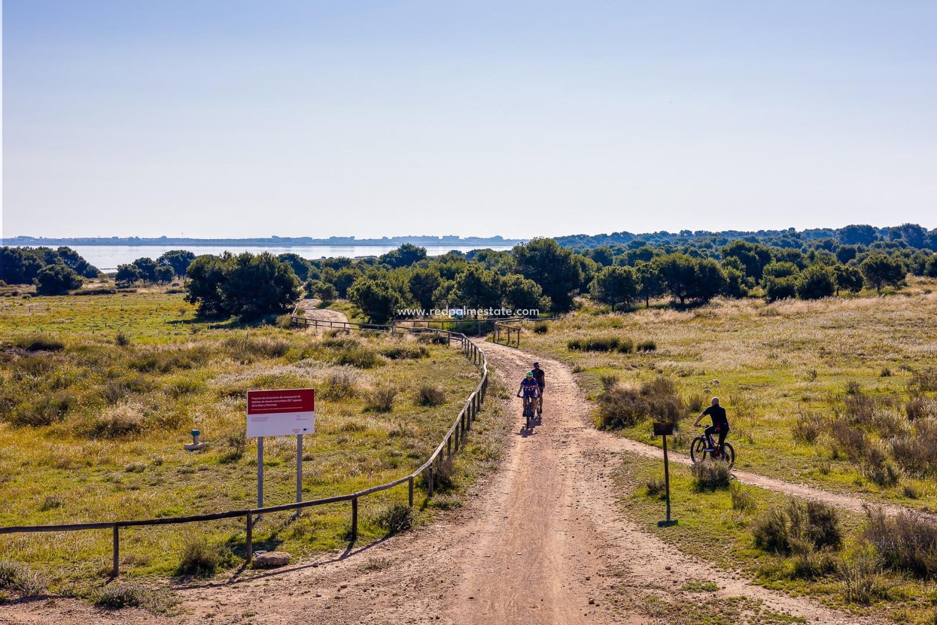 Resale - Apartments -
Torrevieja - Centro Torrevieja