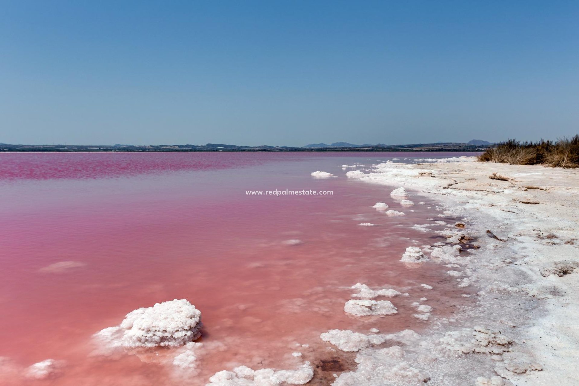 Resale - Apartments -
Torrevieja - Centro Torrevieja