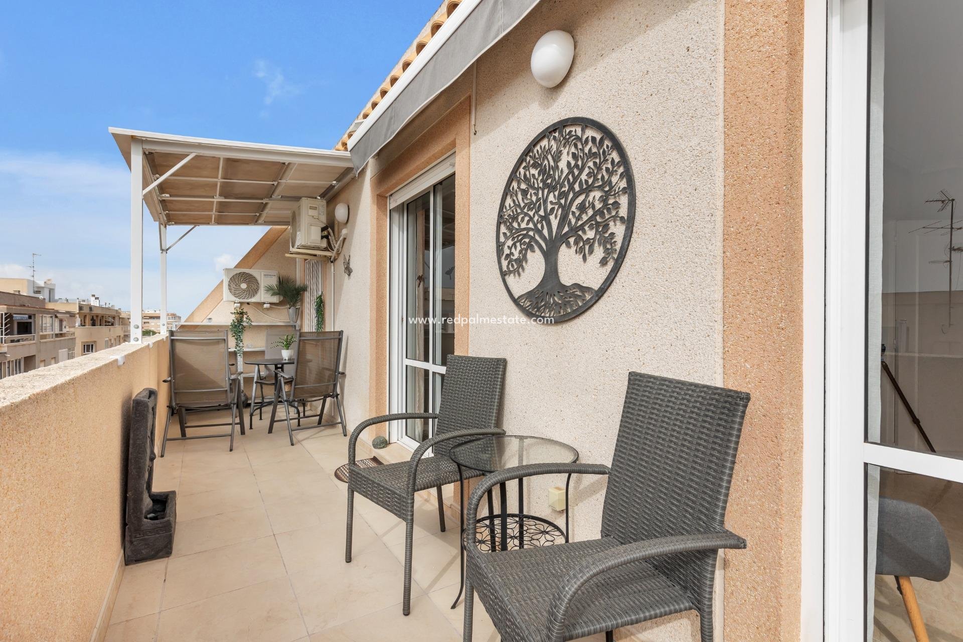 Resale - Apartments -
Torrevieja - Centro Torrevieja