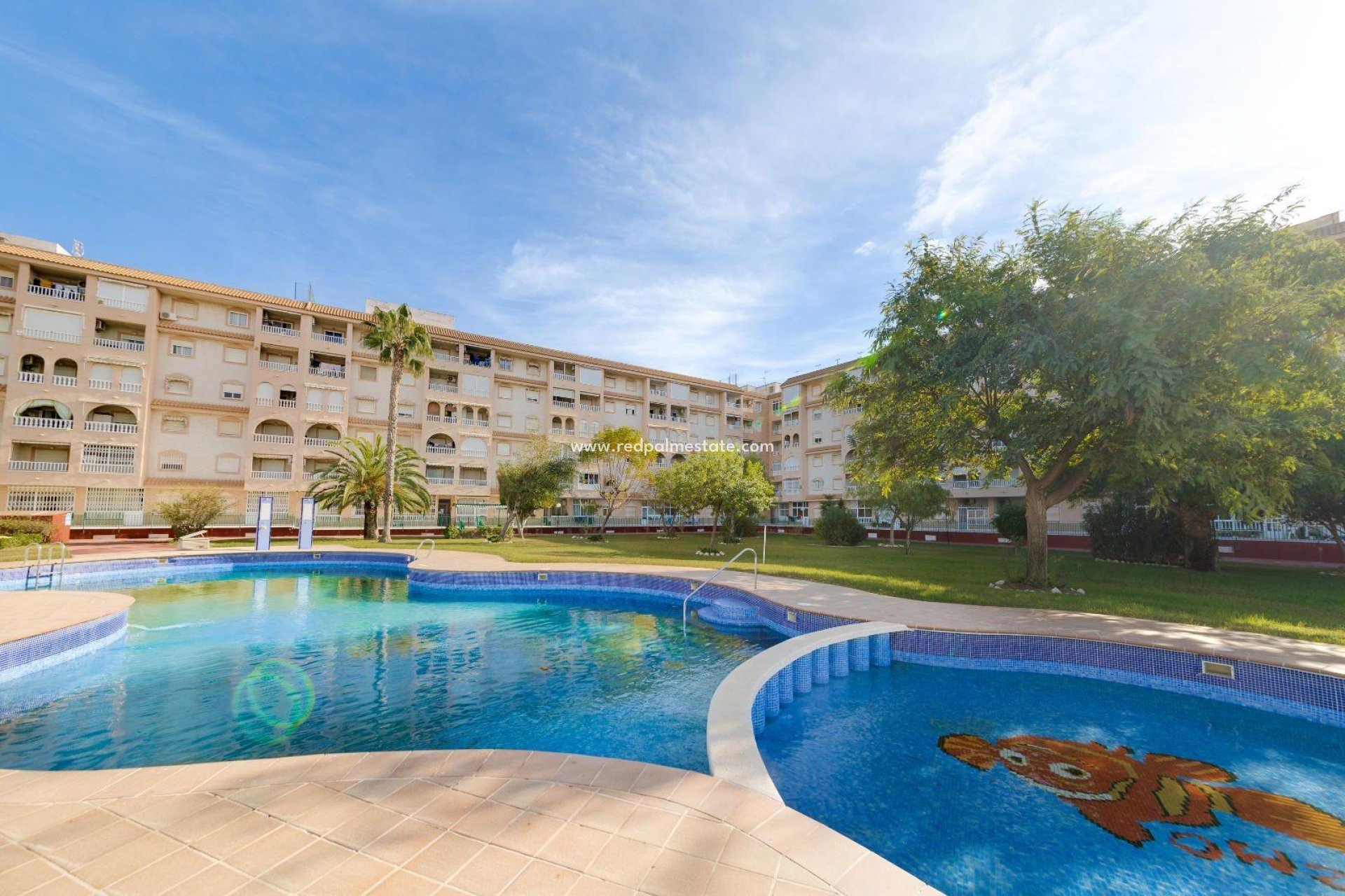 Resale - Apartments -
Torrevieja - Centro Torrevieja