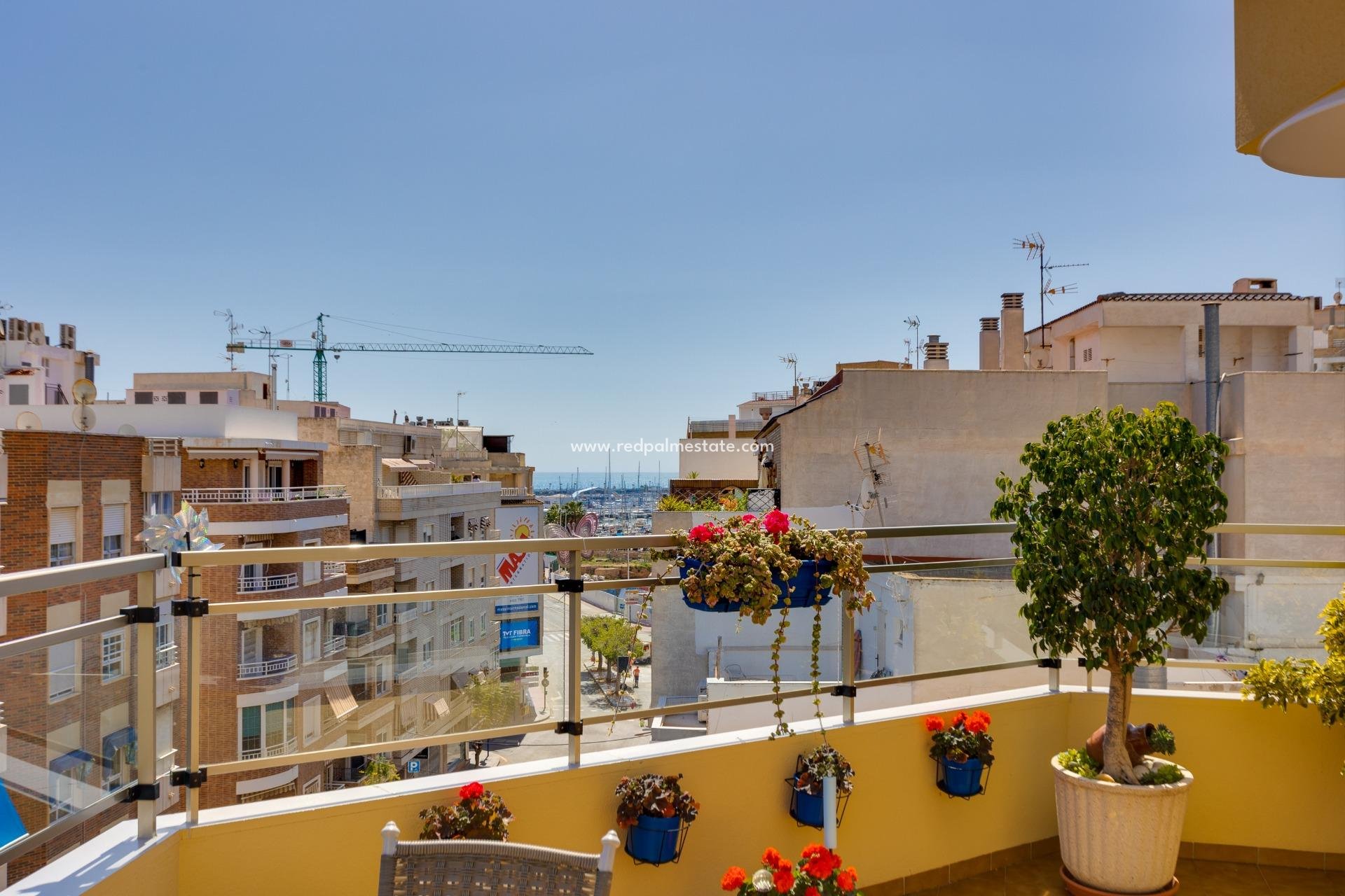 Resale - Apartments -
Torrevieja - Centro Torrevieja