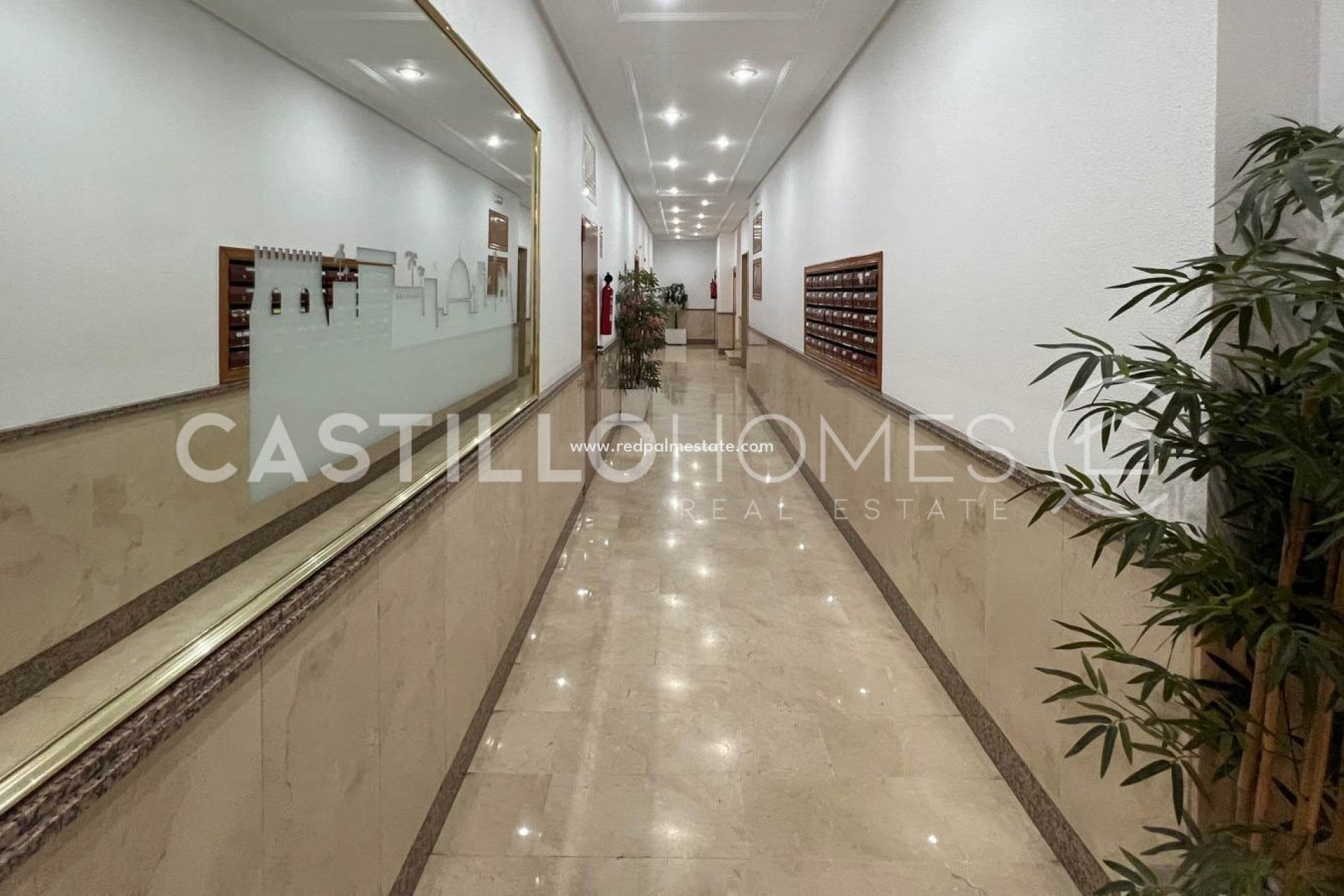 Resale - Apartments -
Torrevieja - Centro Torrevieja