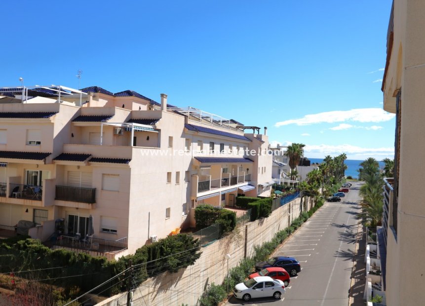 Resale - Apartments -
Torrevieja - Costa Blanca