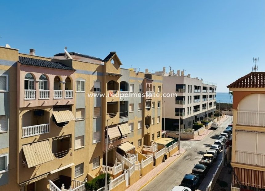 Resale - Apartments -
Torrevieja - Costa Blanca