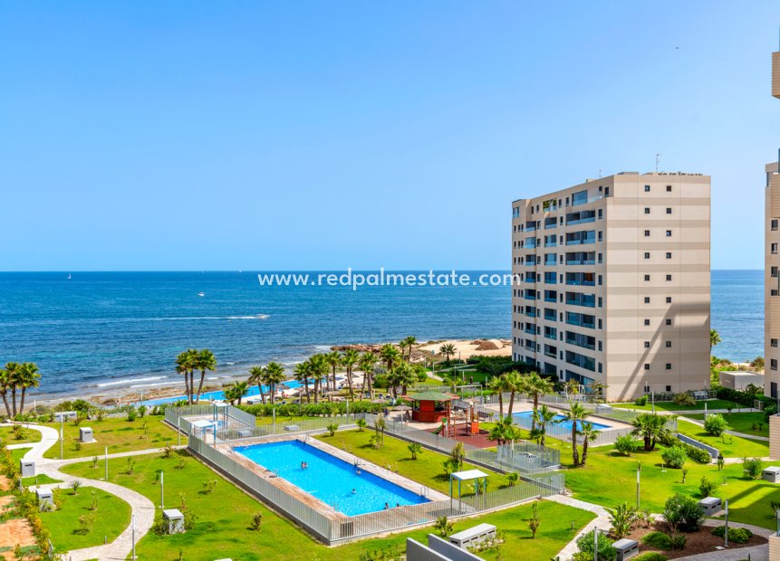 Resale - Apartments -
Torrevieja - Costa Blanca