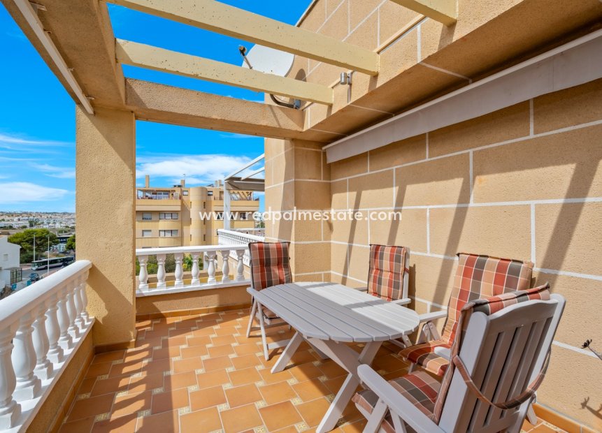 Resale - Apartments -
Torrevieja - Costa Blanca
