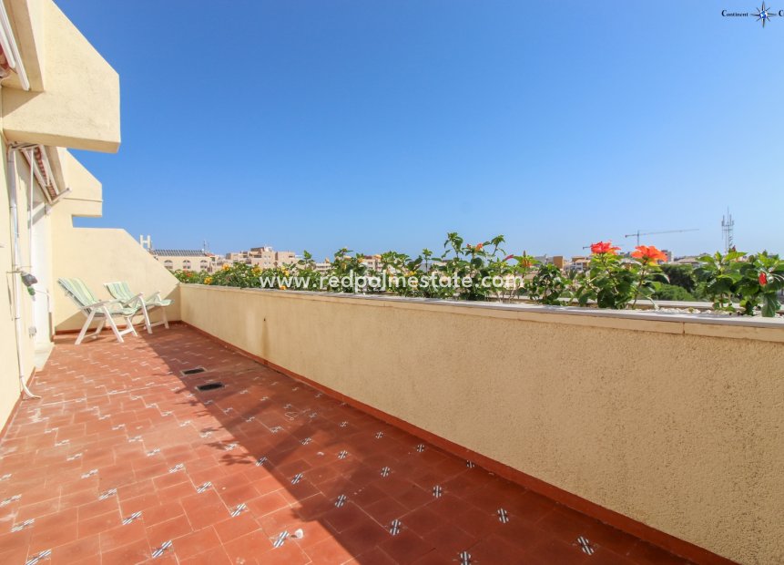 Resale - Apartments -
Torrevieja - Costa Blanca