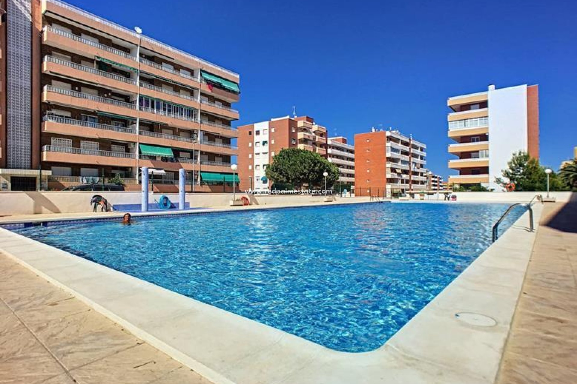 Resale - Apartments -
Torrevieja - Costa Blanca