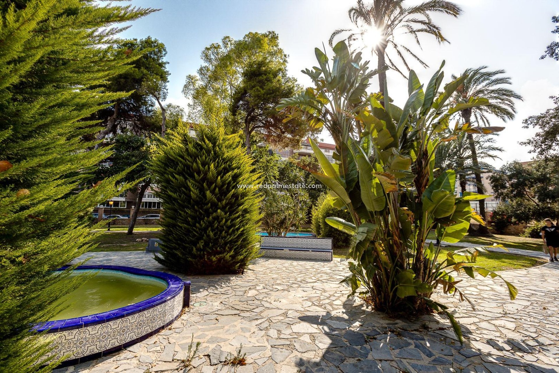 Resale - Apartments -
Torrevieja - El Acequión - Los Náufragos