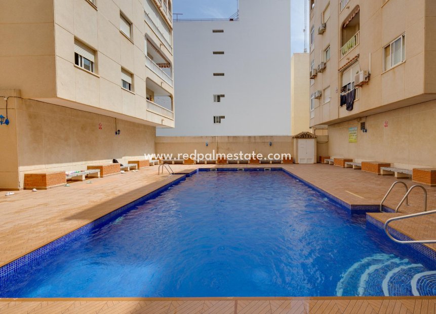 Resale - Apartments -
Torrevieja - El Acequión - Los Náufragos