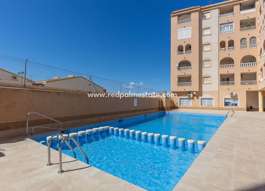 Resale - Apartments -
Torrevieja - El molino