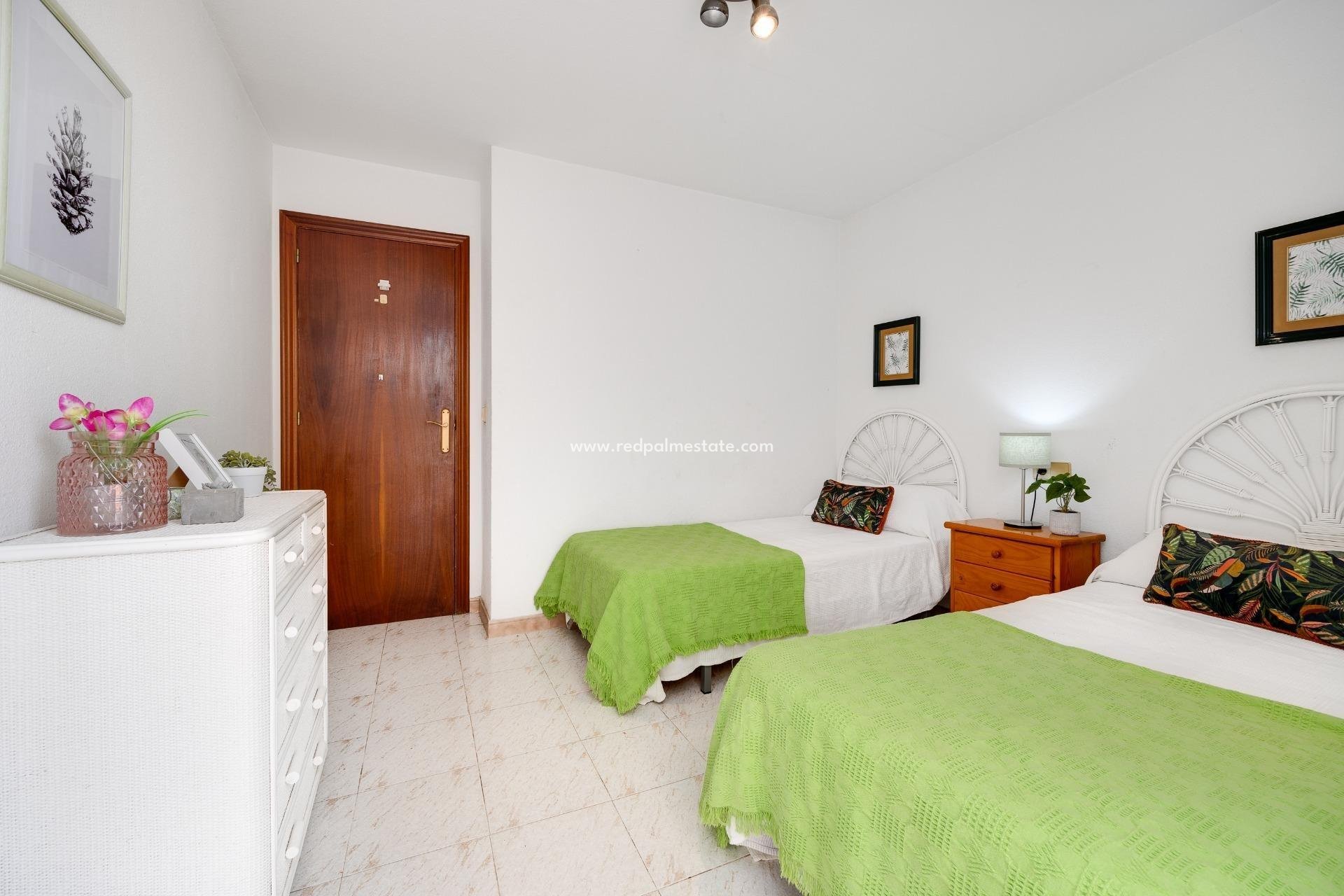 Resale - Apartments -
Torrevieja - Estacion de autobuses