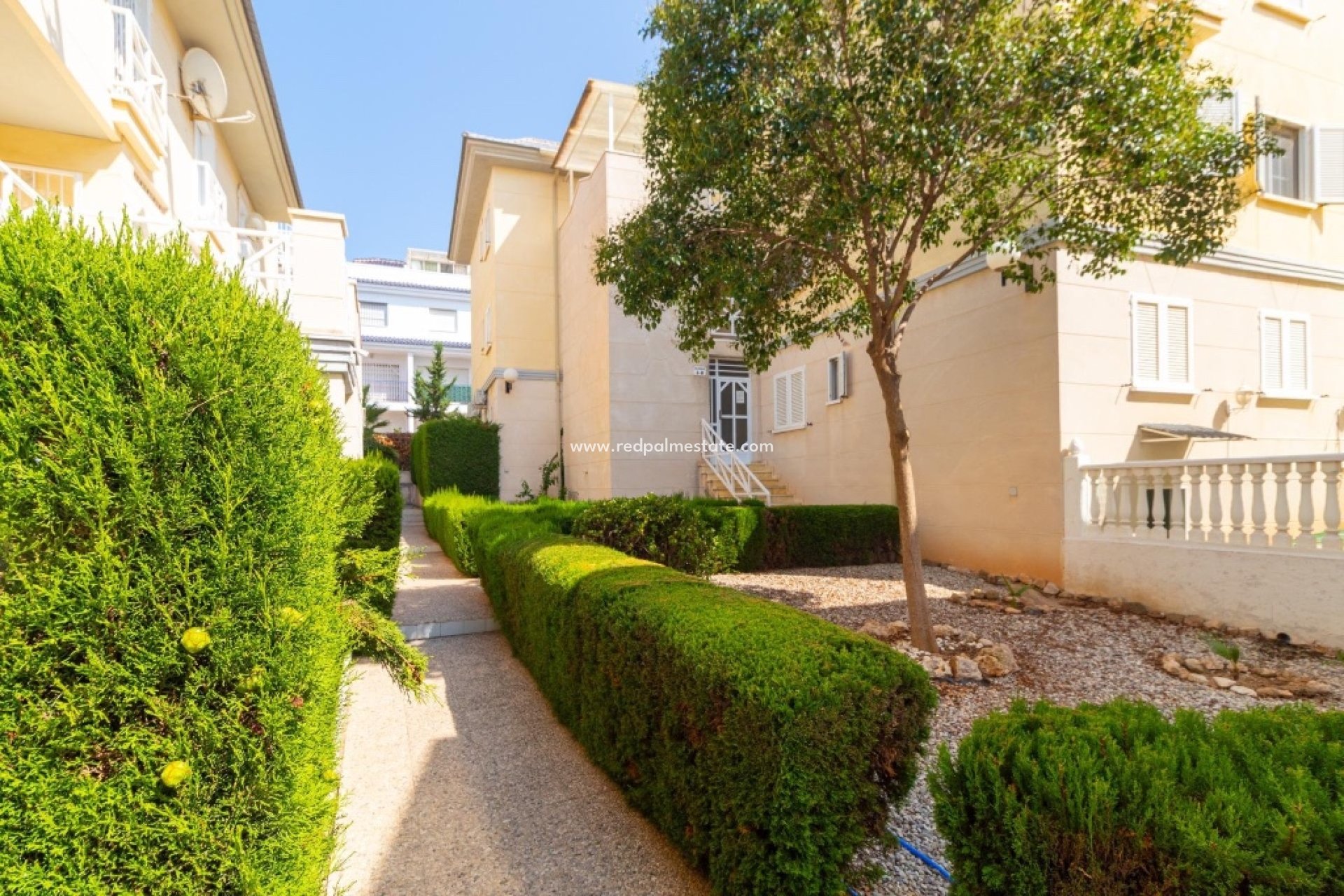 Resale - Apartments -
Torrevieja - La Veleta