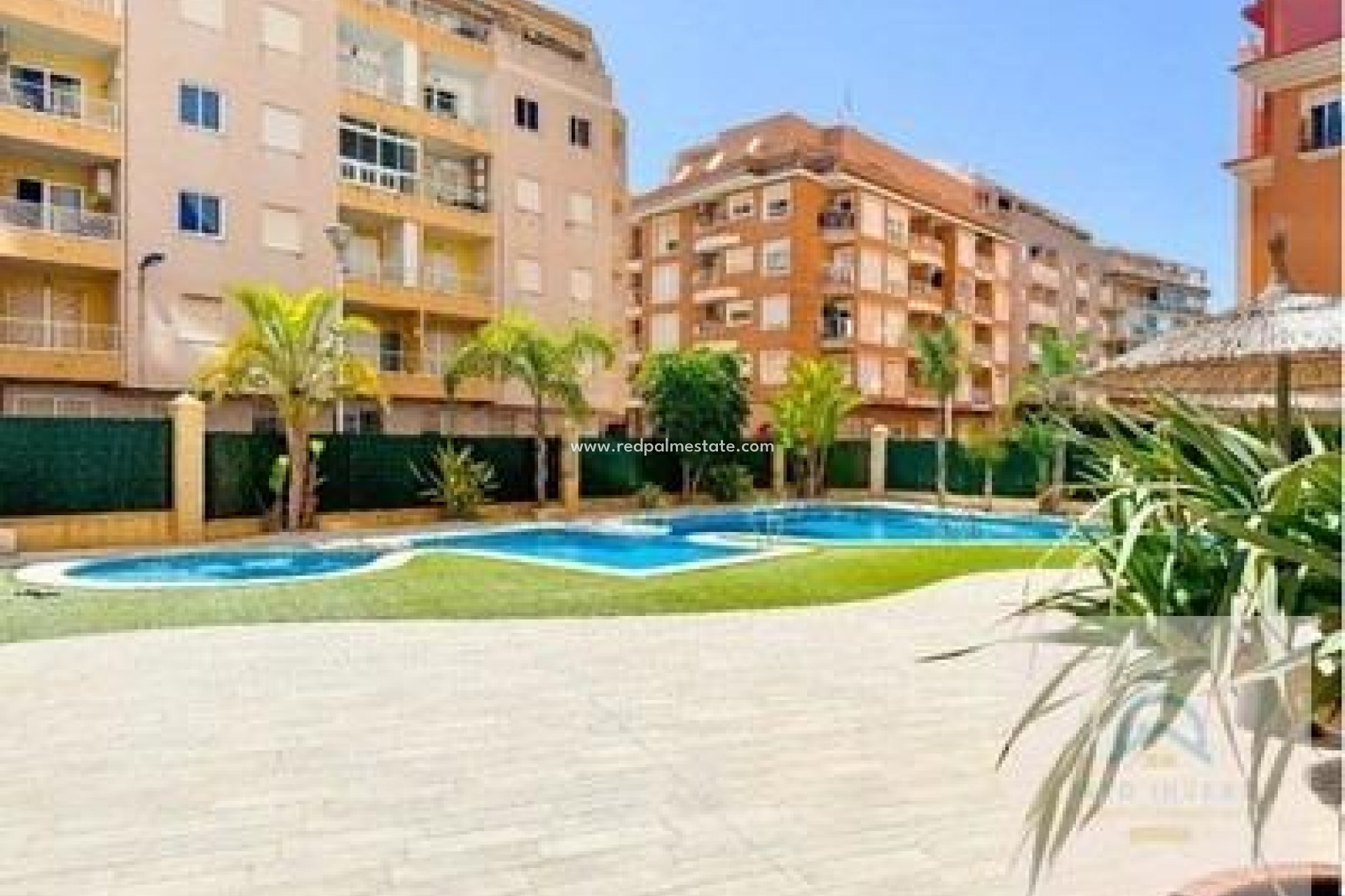 Resale - Apartments -
Torrevieja - Los Frutales