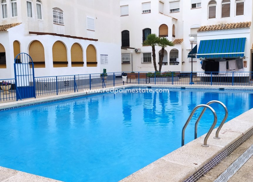 Resale - Apartments -
Torrevieja - LOS NAUFRAGOS PLAYA