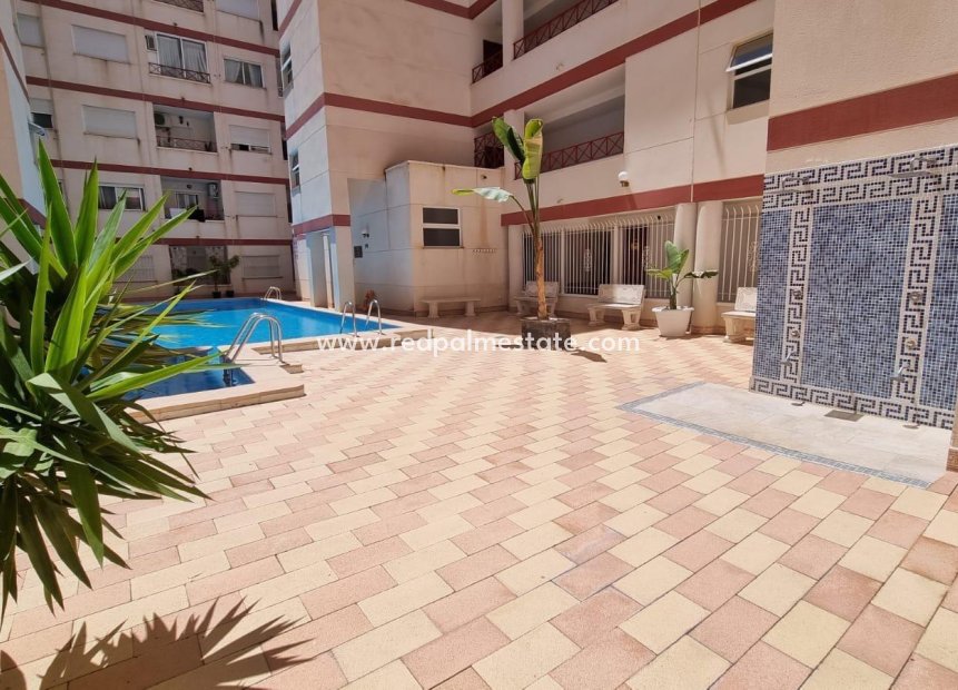 Resale - Apartments -
Torrevieja - PARQUE DE LAS NACIONES