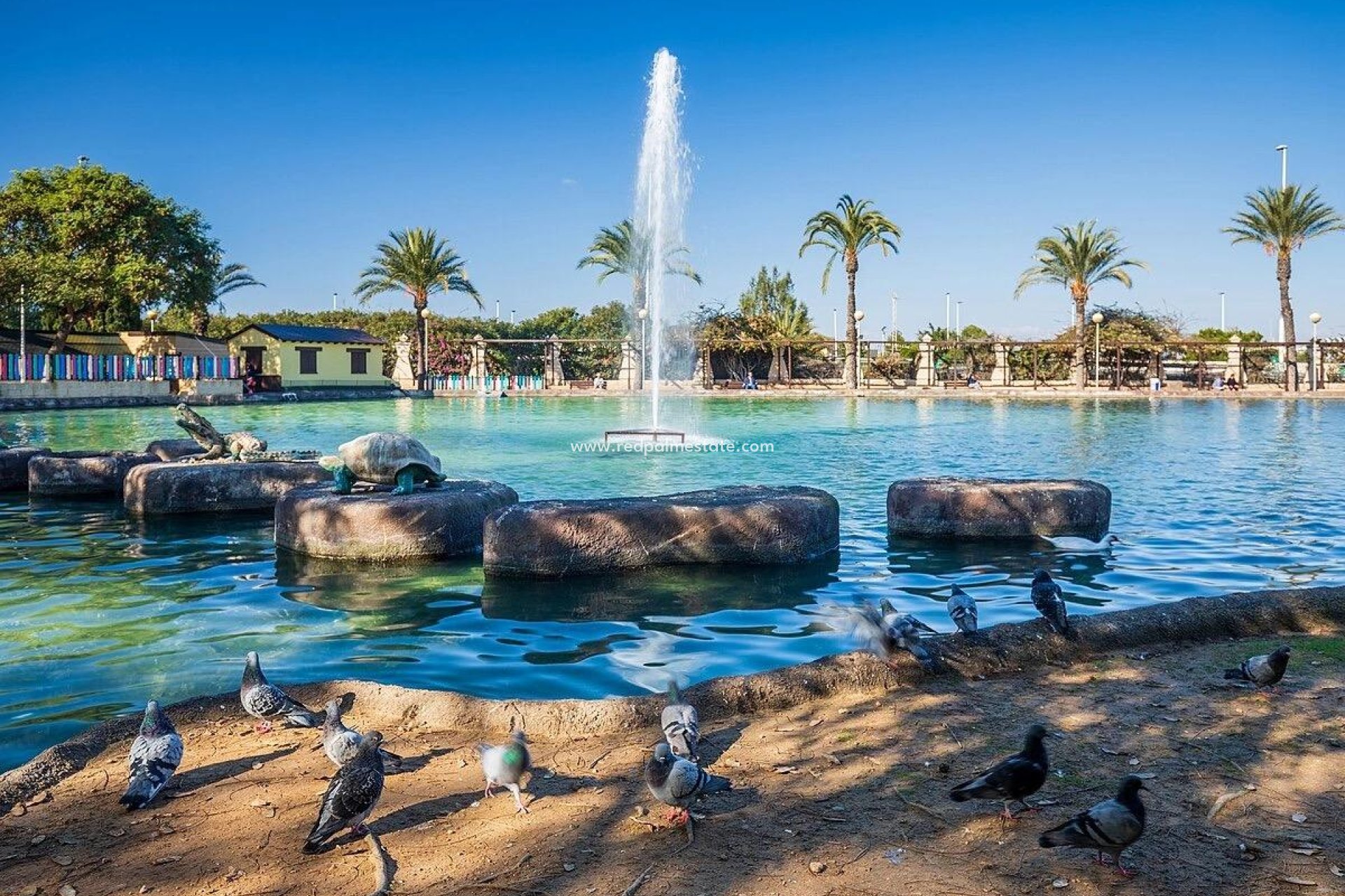 Resale - Apartments -
Torrevieja - Parque las naciones