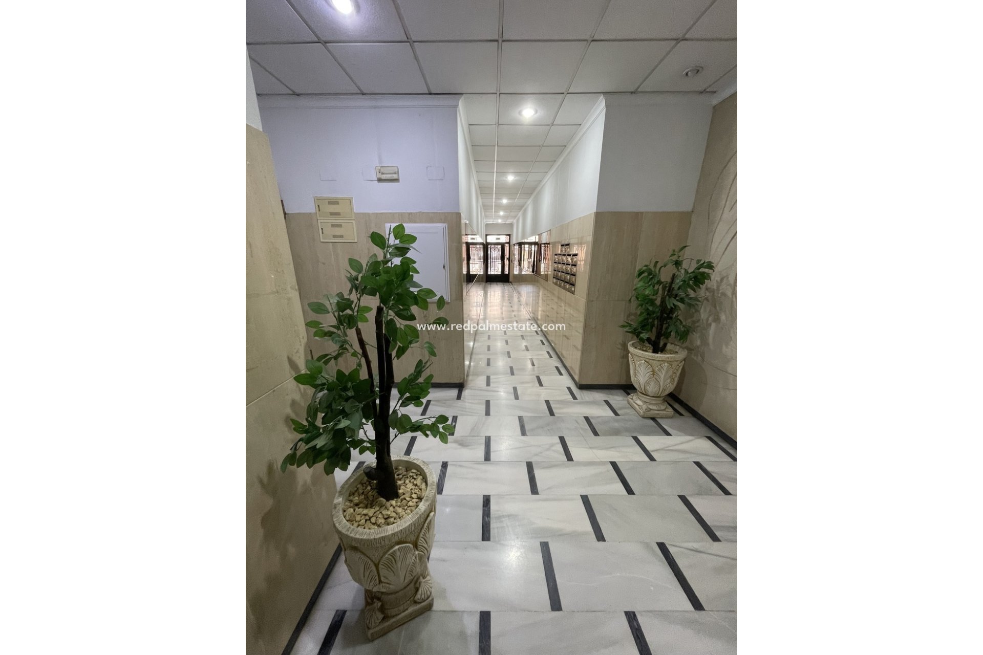 Resale - Apartments -
Torrevieja - Playa de cura