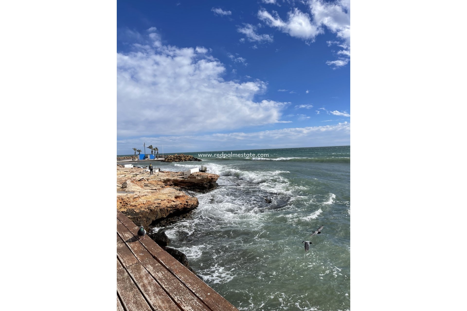 Resale - Apartments -
Torrevieja - Playa de cura