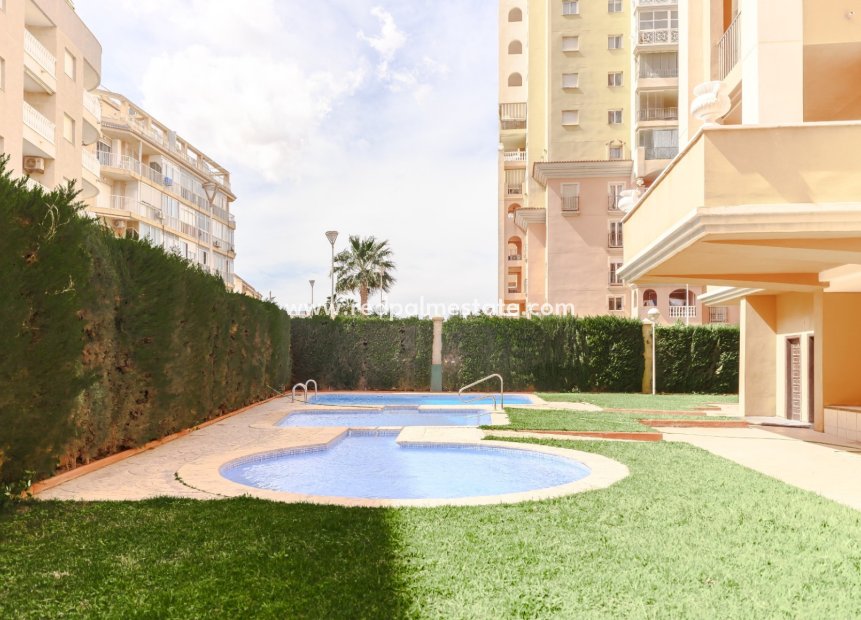 Resale - Apartments -
Torrevieja - Playa de los Locos