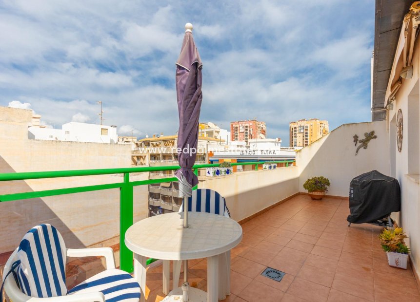 Resale - Apartments -
Torrevieja - Playa de los Locos