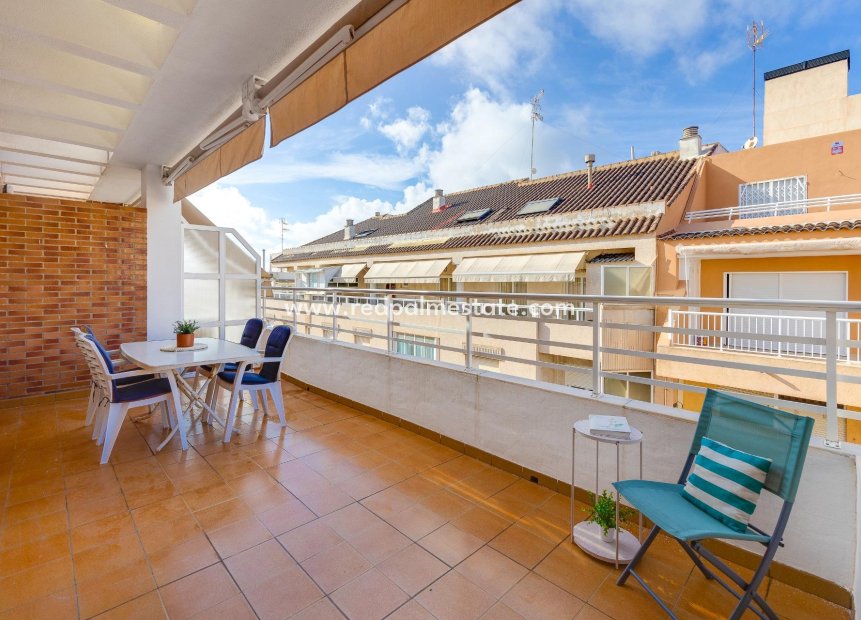 Resale - Apartments -
Torrevieja - Playa del Cura