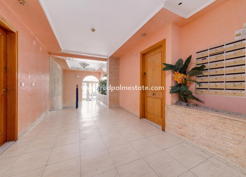 Resale - Apartments -
Torrevieja - Playa del Cura