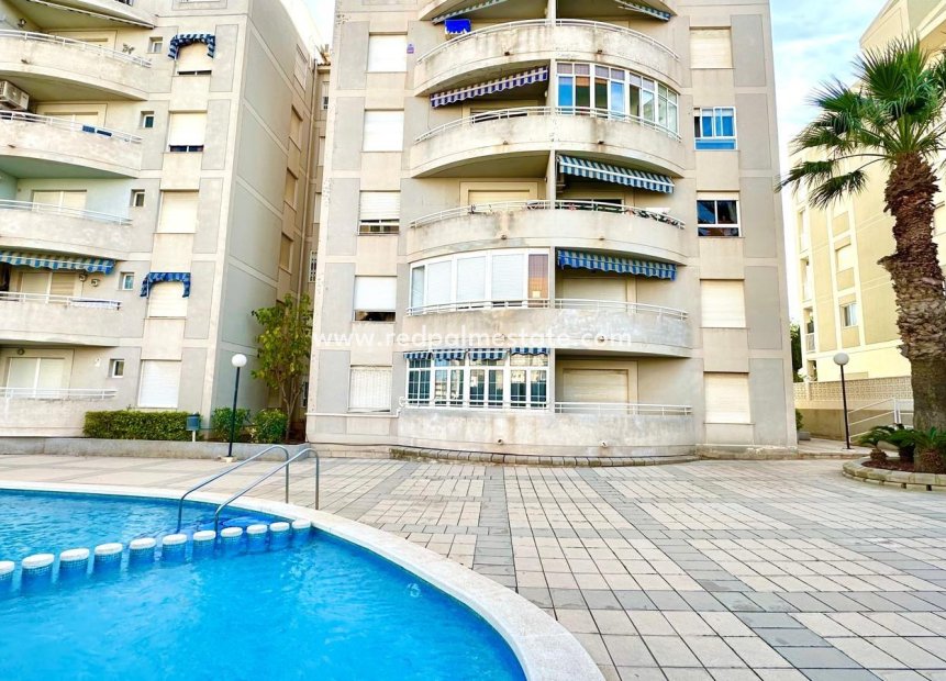 Resale - Apartments -
Torrevieja - Playa del Cura