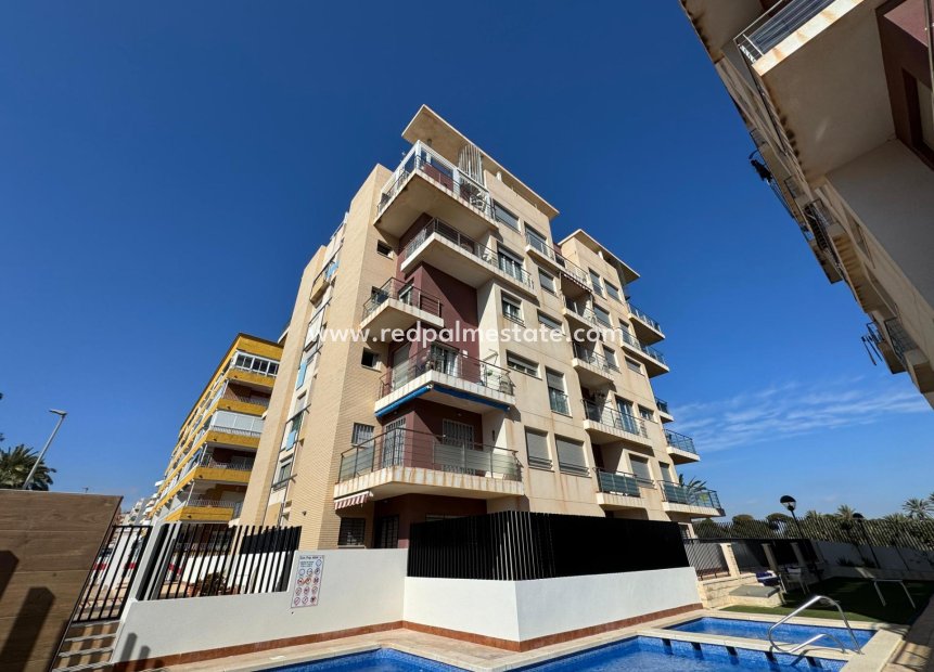 Resale - Apartments -
Torrevieja - Punta prima