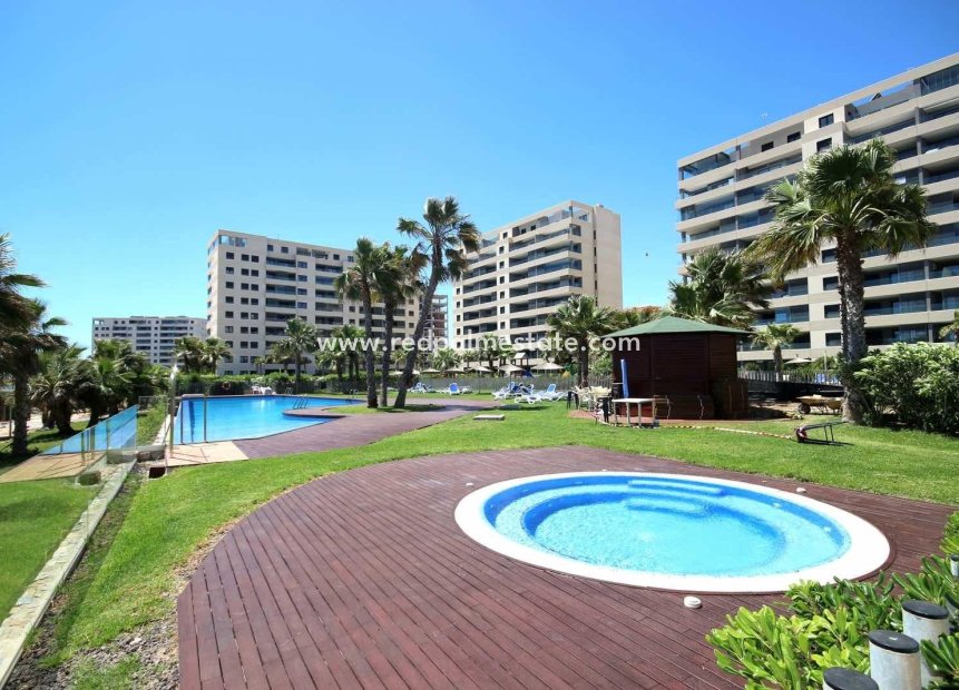 Resale - Apartments -
Torrevieja - Punta prima