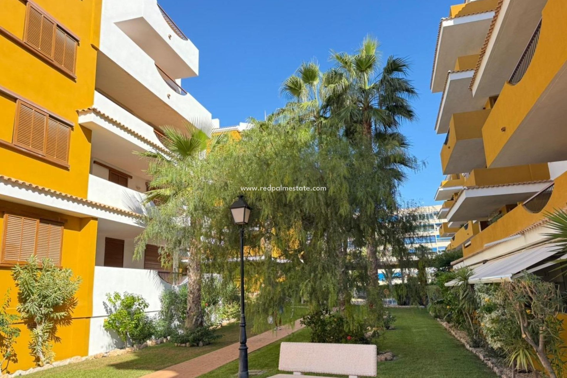 Resale - Apartments -
Torrevieja - Punta prima