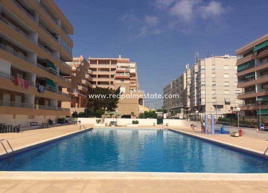 Resale - Apartments -
Torrevieja - Punta prima