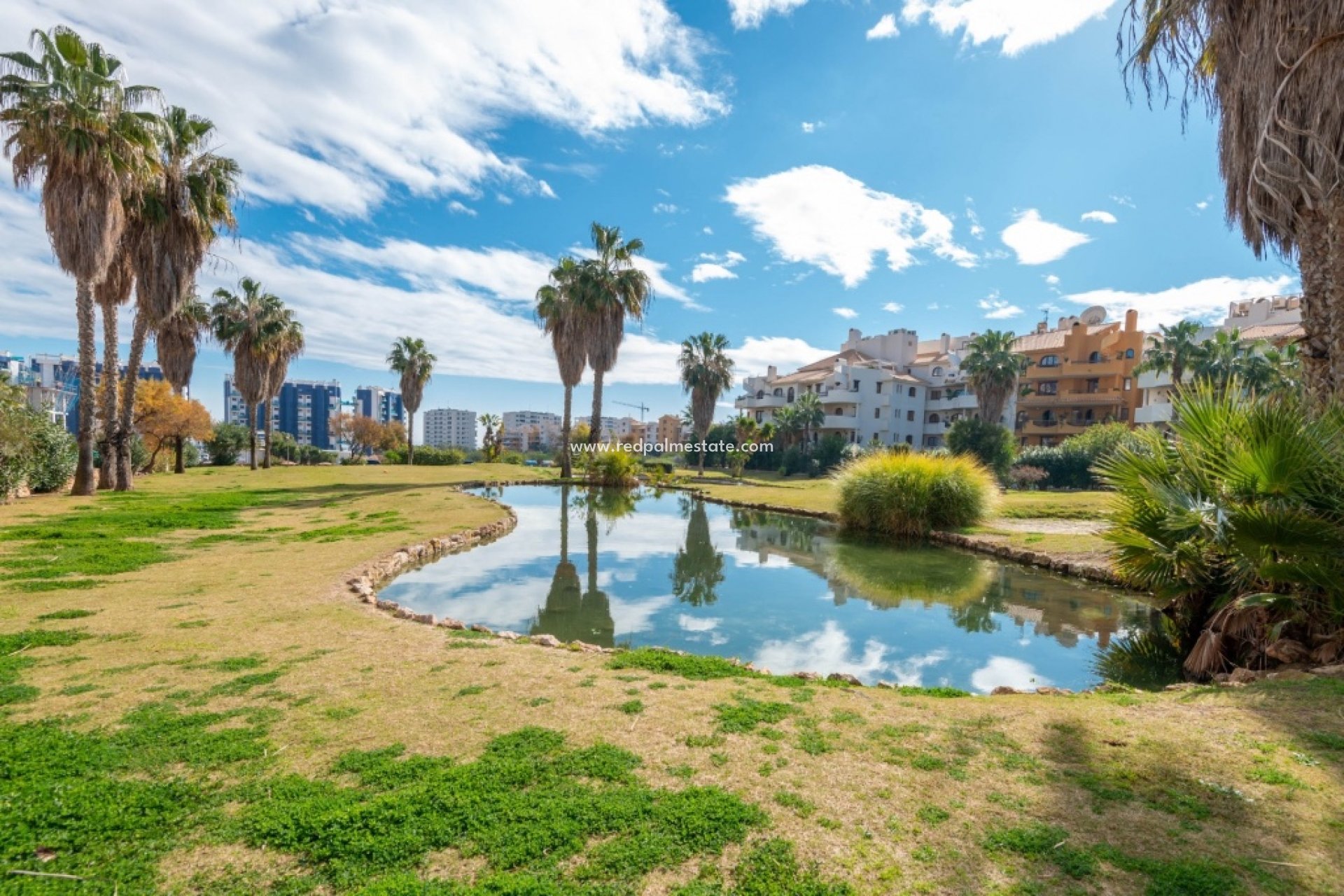 Resale - Apartments -
Torrevieja - Punta prima