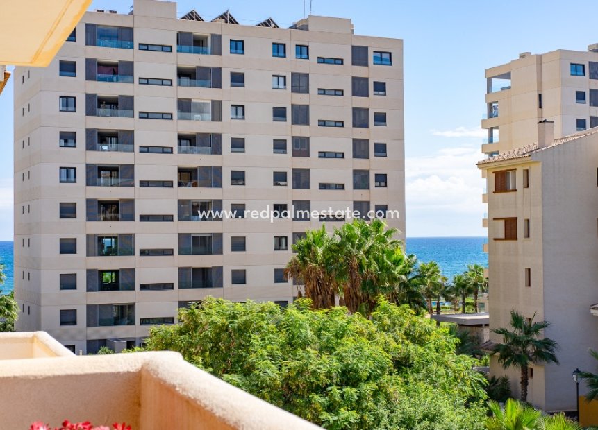 Resale - Apartments -
Torrevieja - Punta prima