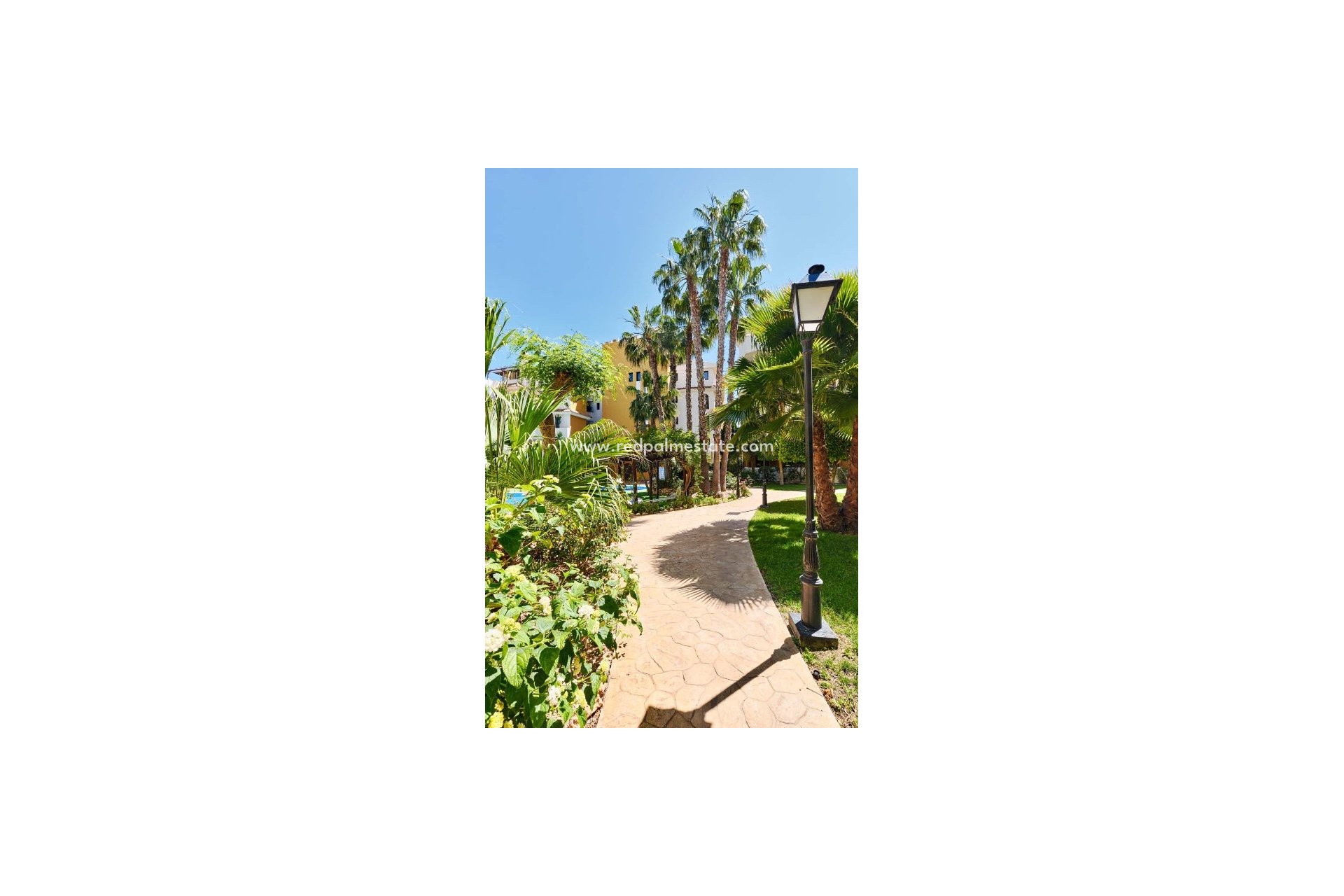 Resale - Apartments -
Torrevieja - Punta prima