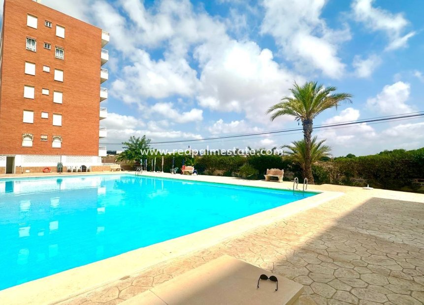 Resale - Apartments -
Torrevieja - Punta prima