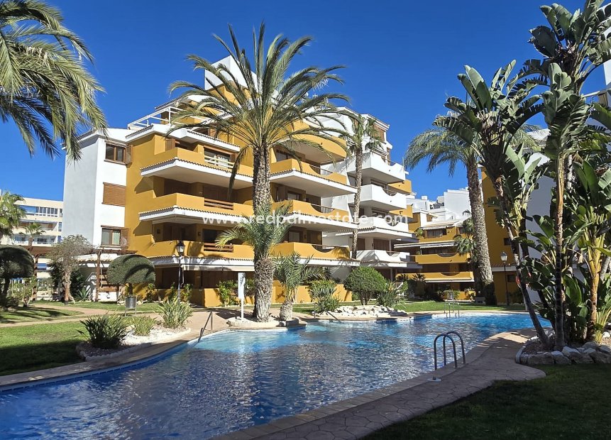 Resale - Apartments -
Torrevieja - Punta prima