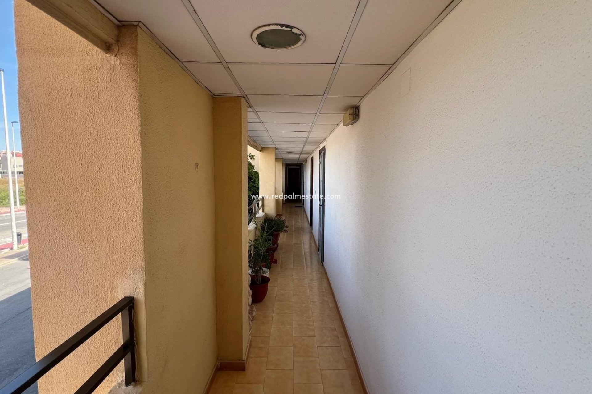 Resale - Apartments -
Torrevieja - Rosaleda-los frutales