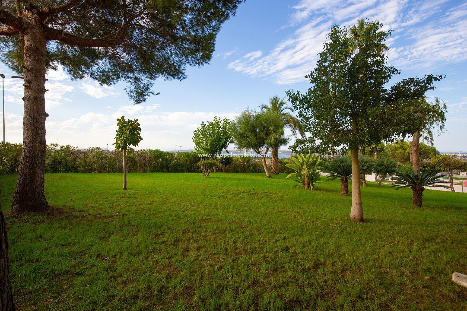 Resale - Apartments -
Torrevieja - Torreblanca