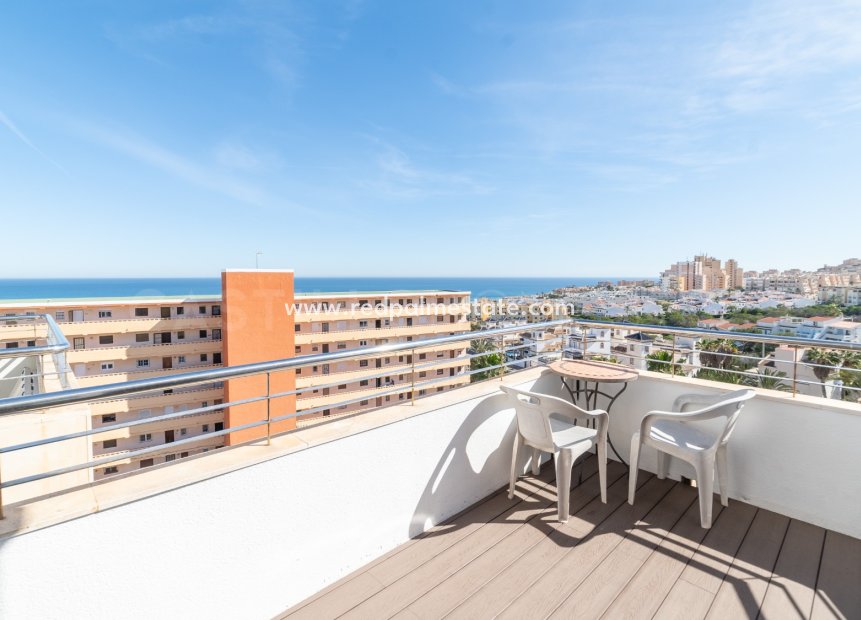 Resale - Apartments -
Torrevieja - Torrelamata