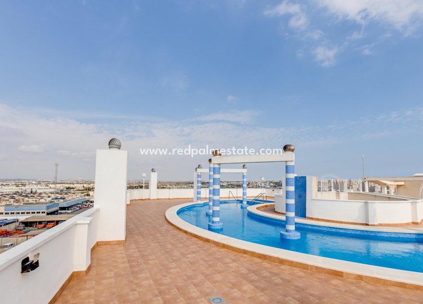 Resale - Apartments -
Torrevieja