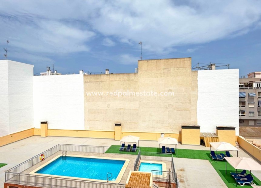 Resale - Apartments -
Torrevieja